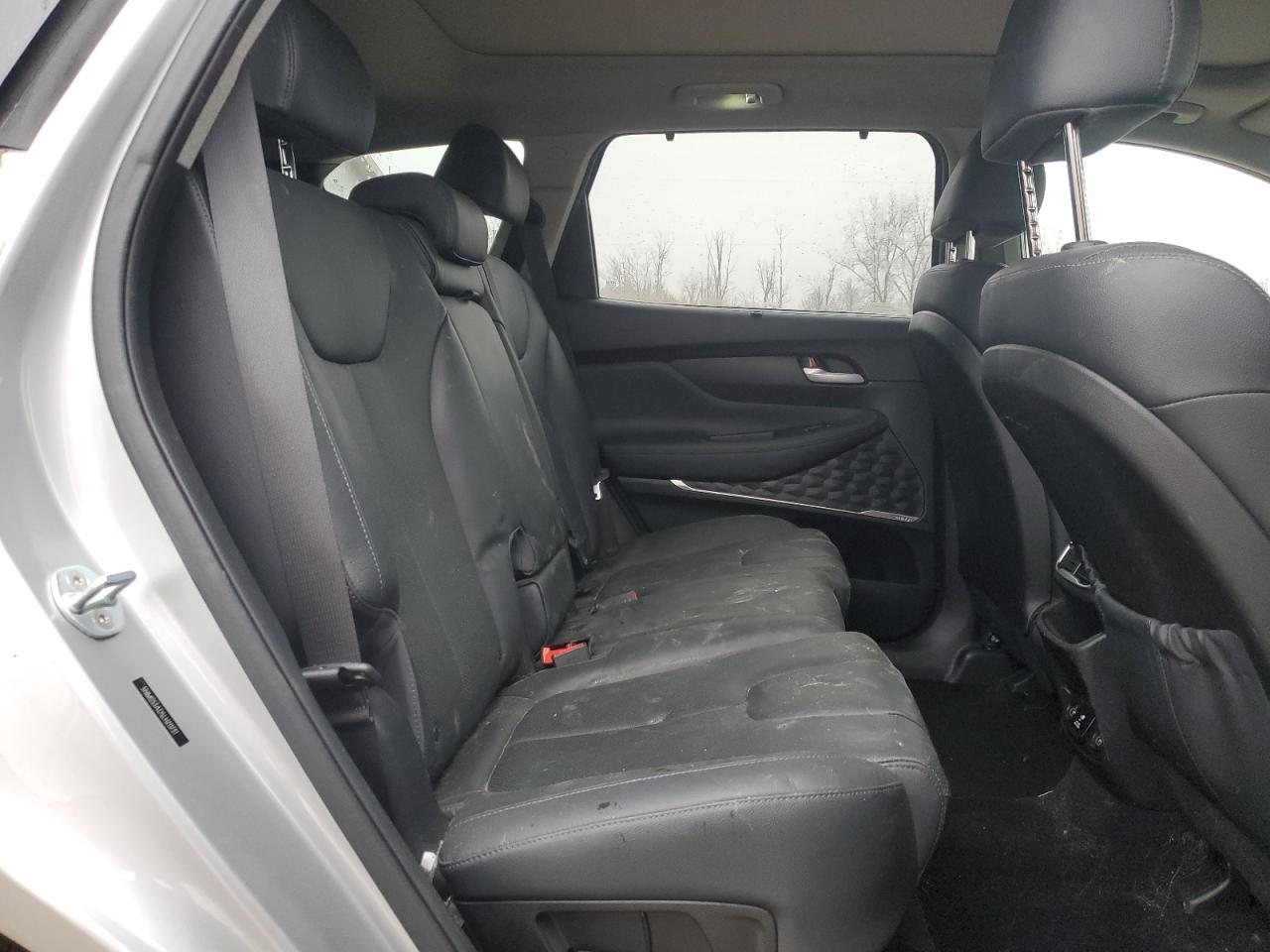 2020 Hyundai Santa Fe Limited VIN: 5NMS53AD5LH211731 Lot: 93262245