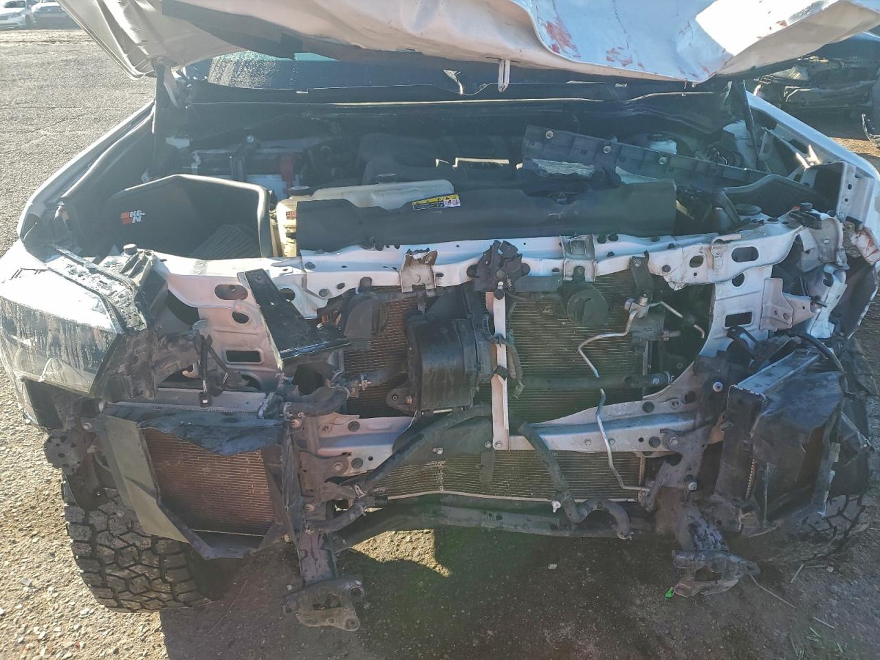 2022 Toyota Tundra Crewmax Platinum VIN: 5TFNA5DB7NX031983 Lot: 94553785