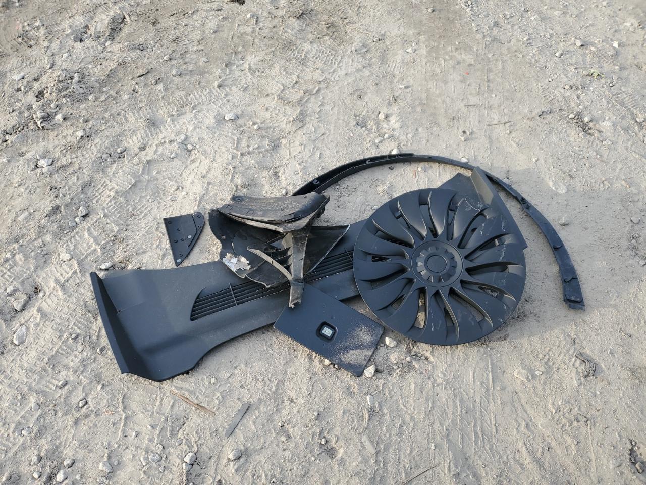 2024 Tesla Model Y VIN: 7SAYGDED4RF191134 Lot: 91867285