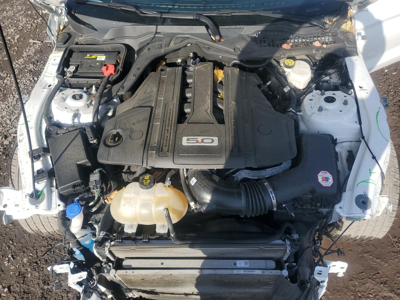 2021 Ford Mustang Gt VIN: 1FA6P8CF6M5151007 Lot: 90916685