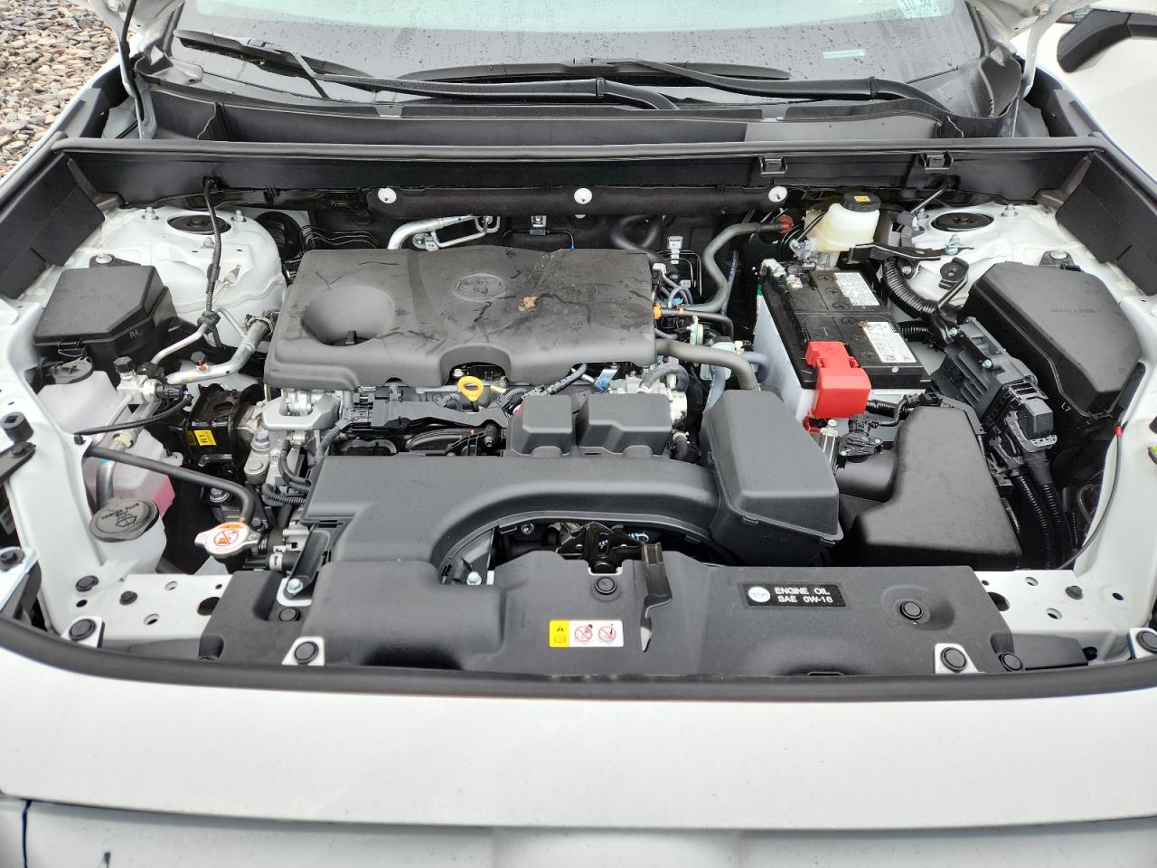 2025 Toyota Rav4 Xle VIN: 2T3P1RFVXSW599068 Lot: 93387735