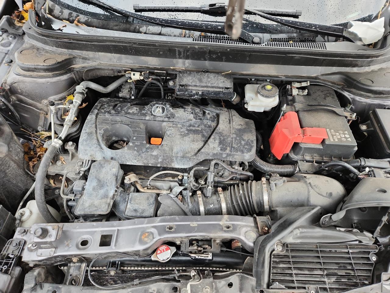 2019 Acura Rdx Technology VIN: 5J8TC2H51KL007669 Lot: 92589165