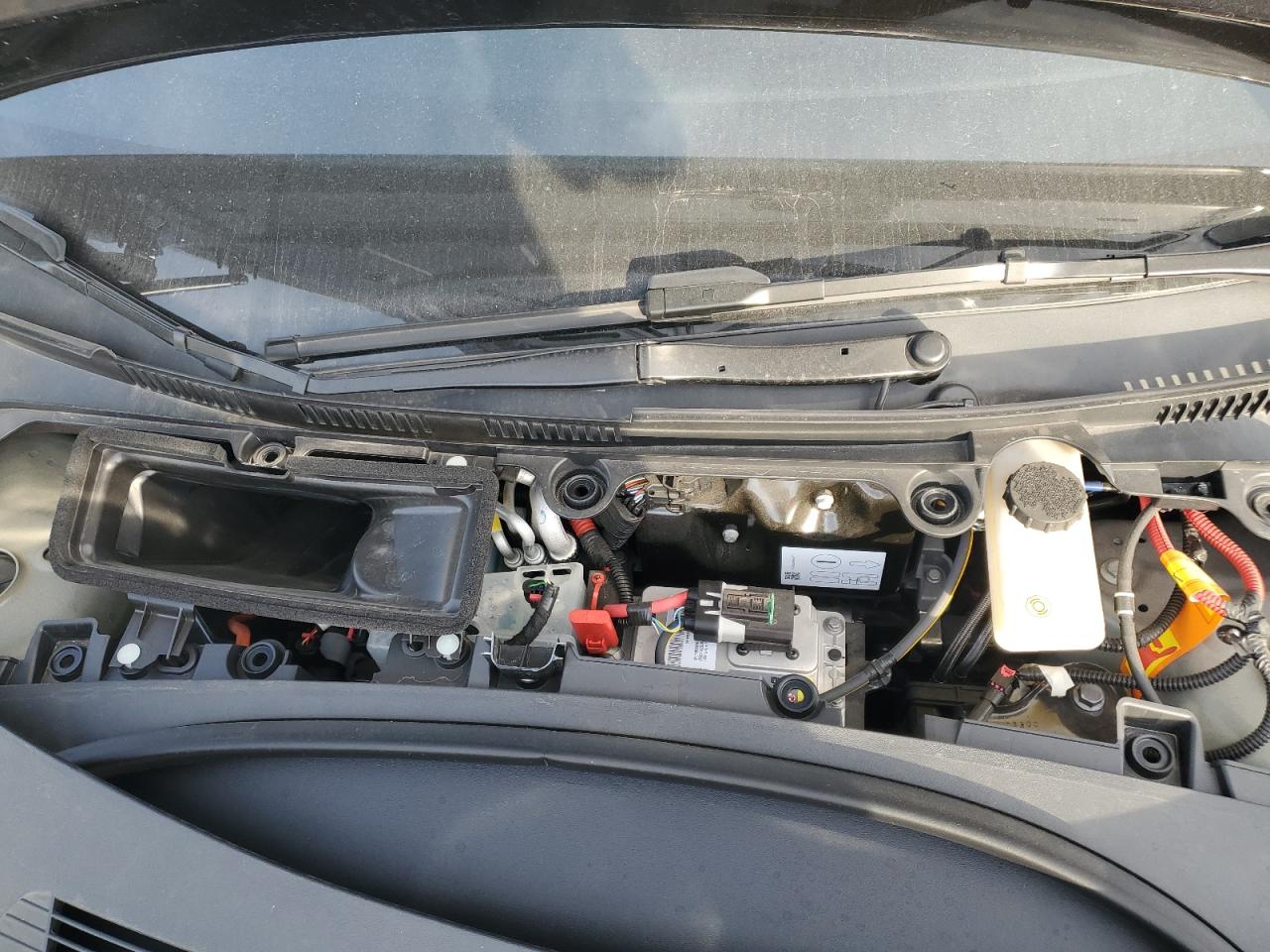 2025 Tesla Model 3 VIN: 5YJ3E1EB0SF927731 Lot: 91496815