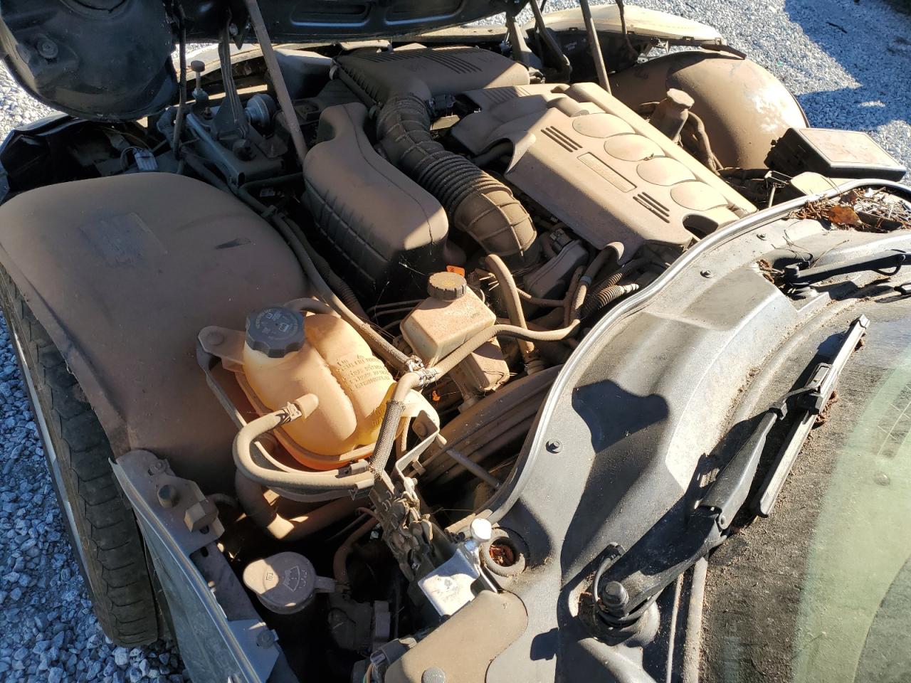 2006 Pontiac Solstice VIN: 1G2MB33B06Y103606 Lot: 91416235