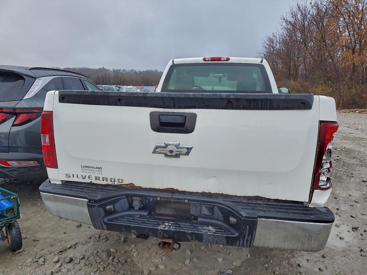 2009 Chevrolet Silverado C1500 VIN: 1GCEC14X09Z226705 Lot: 93779285