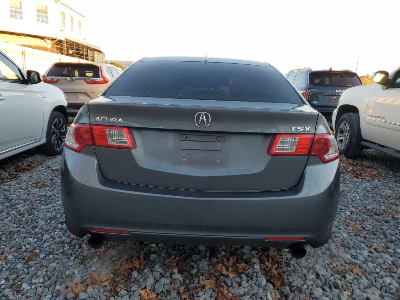 2009 Acura Tsx VIN: JH4CU26639C027891 Lot: 93191115