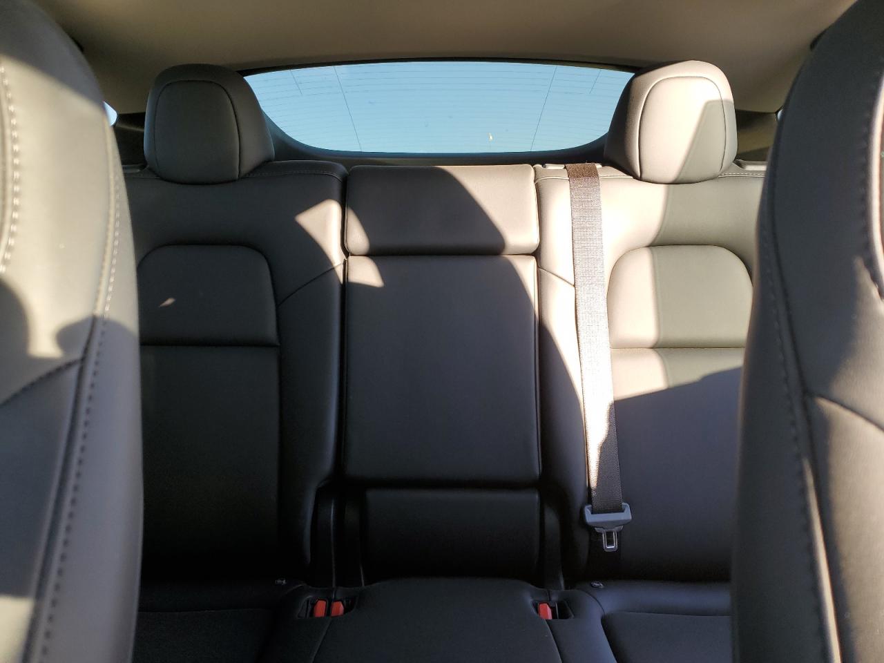 2024 Tesla Model Y VIN: 7SAYGDEE7RF166107 Lot: 91056195