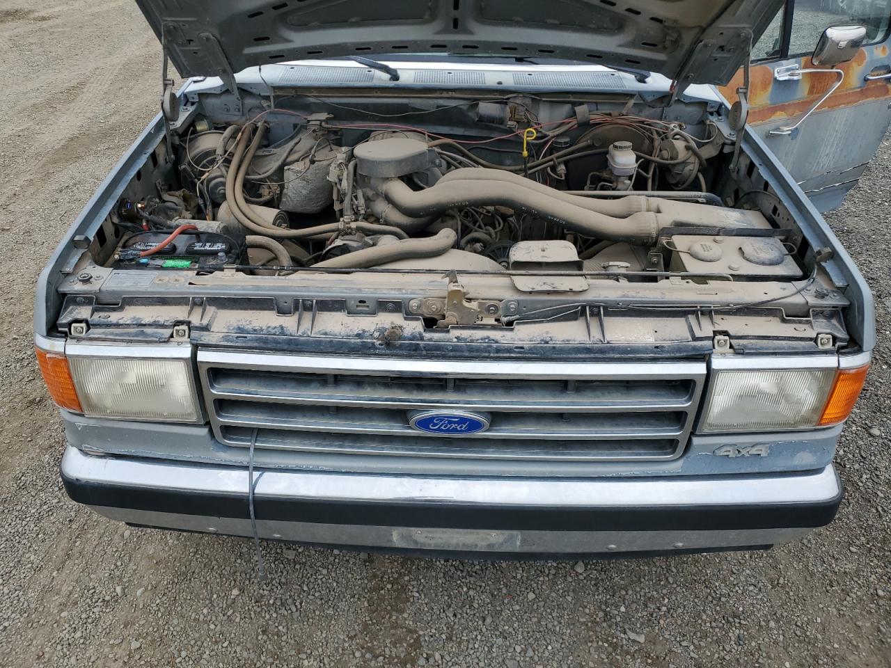 1989 Ford F150 VIN: 1FTEF14N0KPB19791 Lot: 93665185