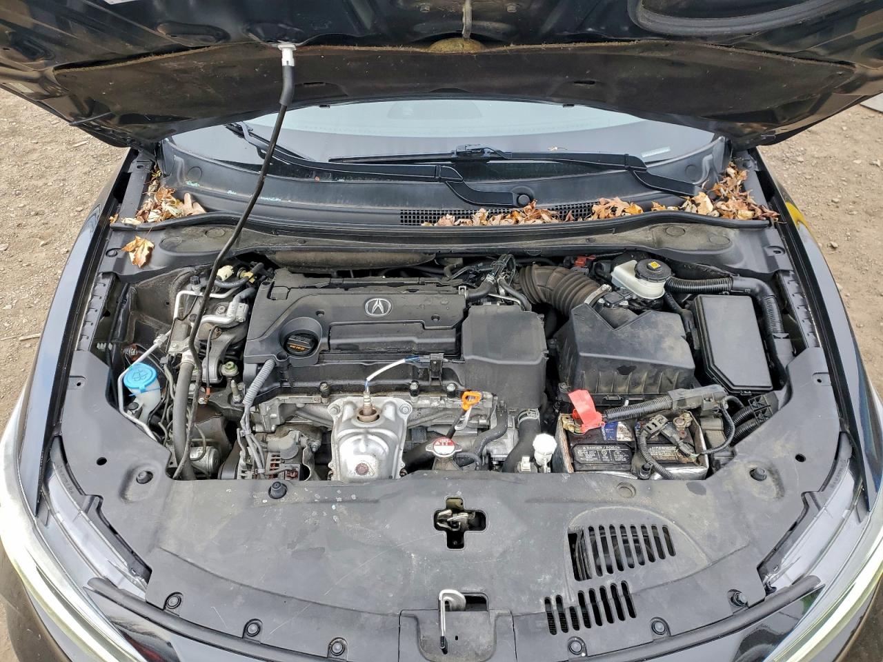 2019 Acura Ilx Premium VIN: 19UDE2F71KA009890 Lot: 93393035