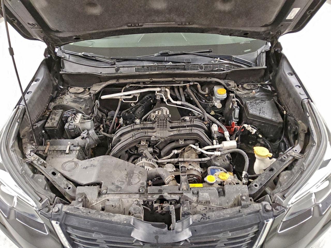 2019 Subaru Forester Limited VIN: JF2SKASC1KH434871 Lot: 93516215