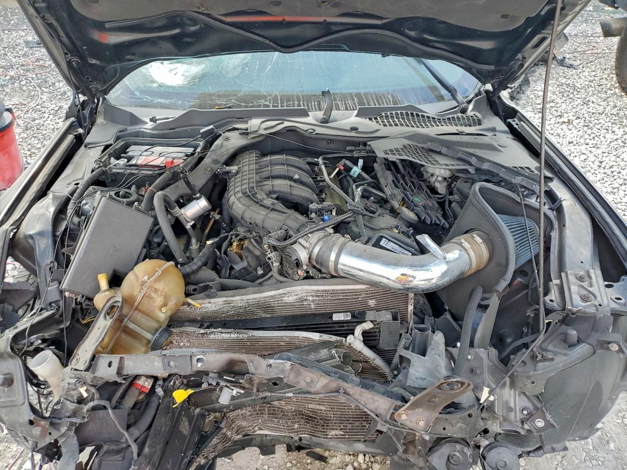 2015 Ford Mustang VIN: 1FA6P8AM7F5309178 Lot: 93881645