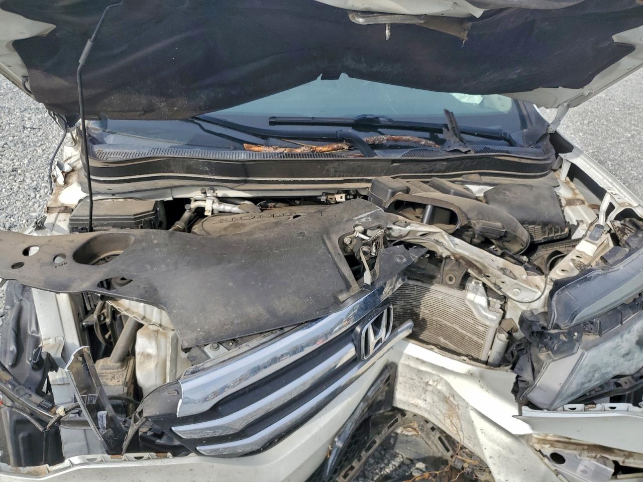 2017 Honda Pilot Exl VIN: 5FNYF5H50HB017683 Lot: 93686655