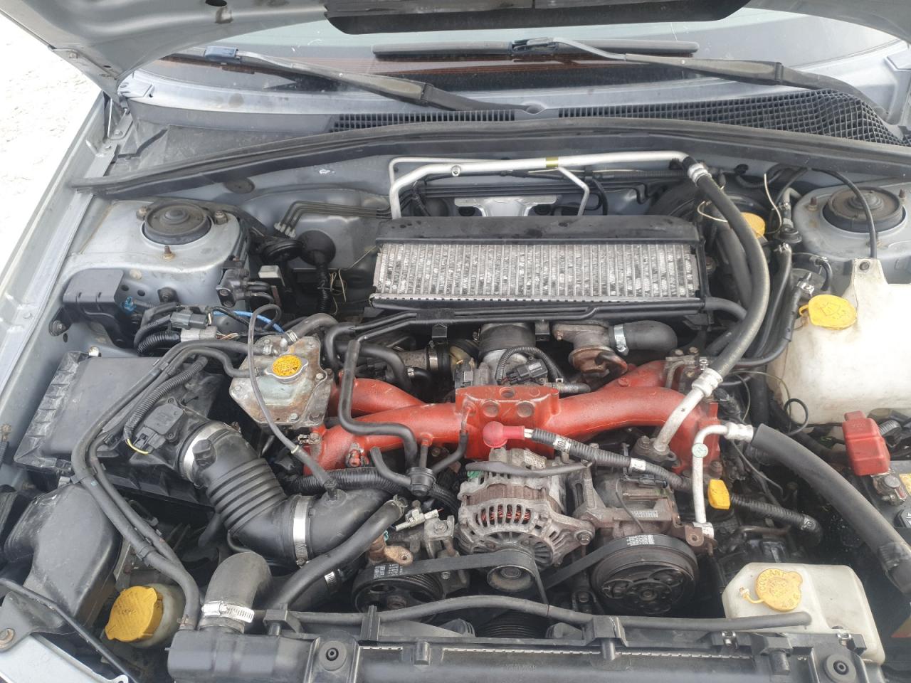 2004 Subaru Forester 2.5Xt VIN: JF1SG69694H704788 Lot: 91591425