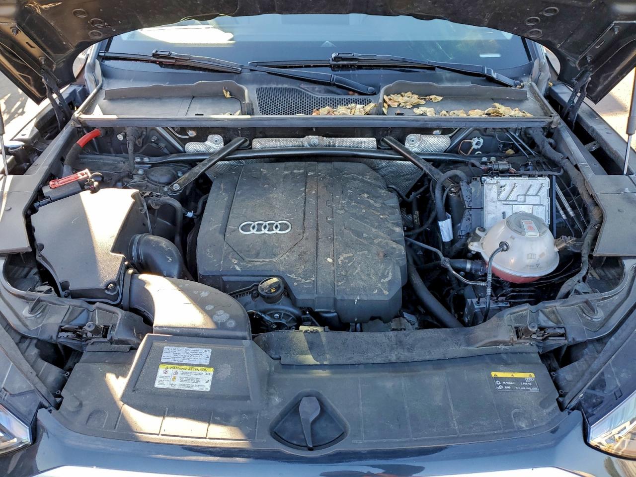 2021 Audi Q5 Premium Plus VIN: WA1BAAFY1M2040021 Lot: 94096425