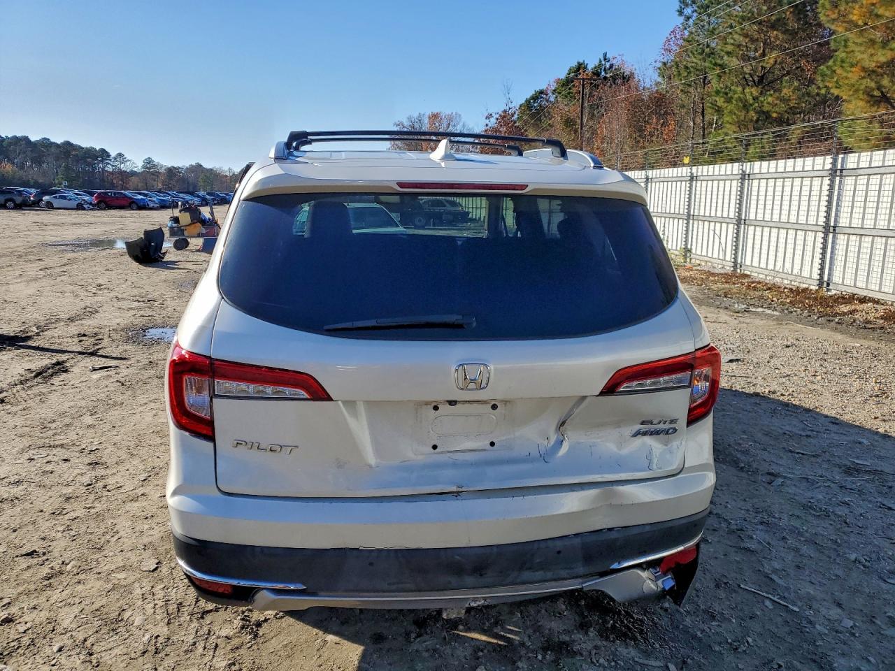 2019 Honda Pilot Elite VIN: 5FNYF6H02KB026676 Lot: 93541145