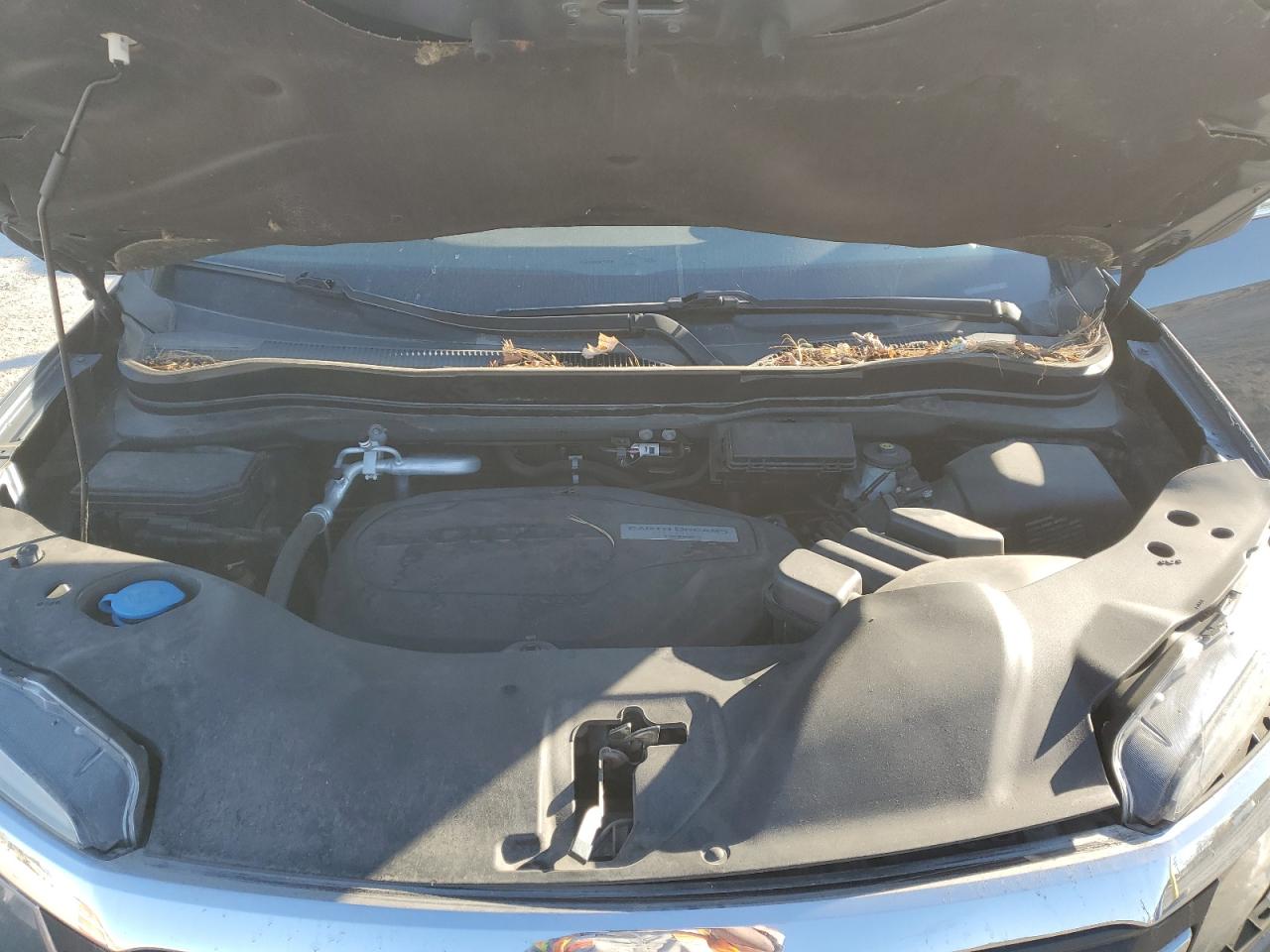 2017 Honda Pilot Exl VIN: 5FNYF6H50HB031041 Lot: 91016505