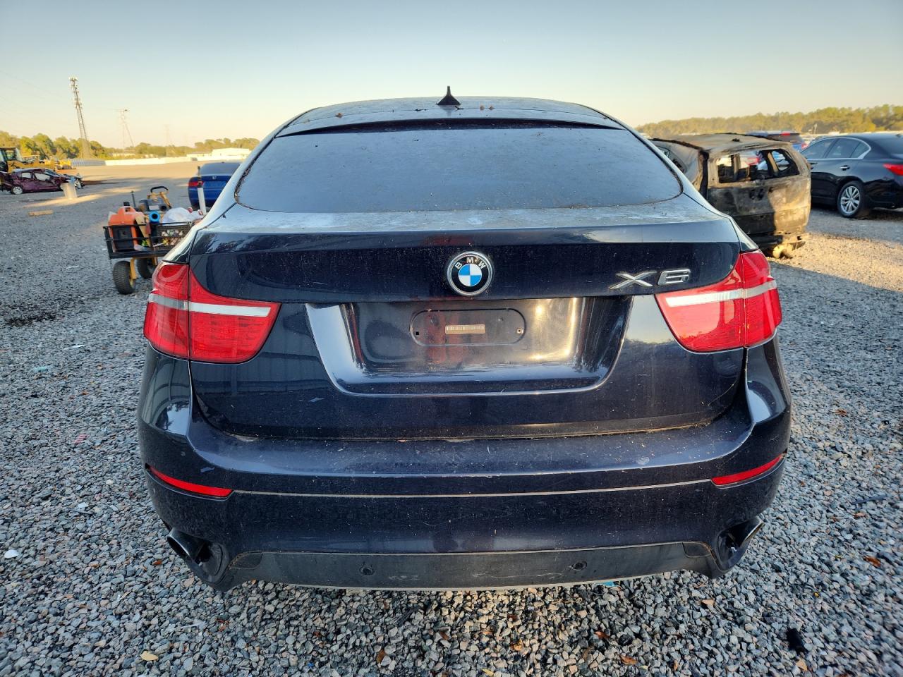 Фото: 5UXFG2C56BLX08455