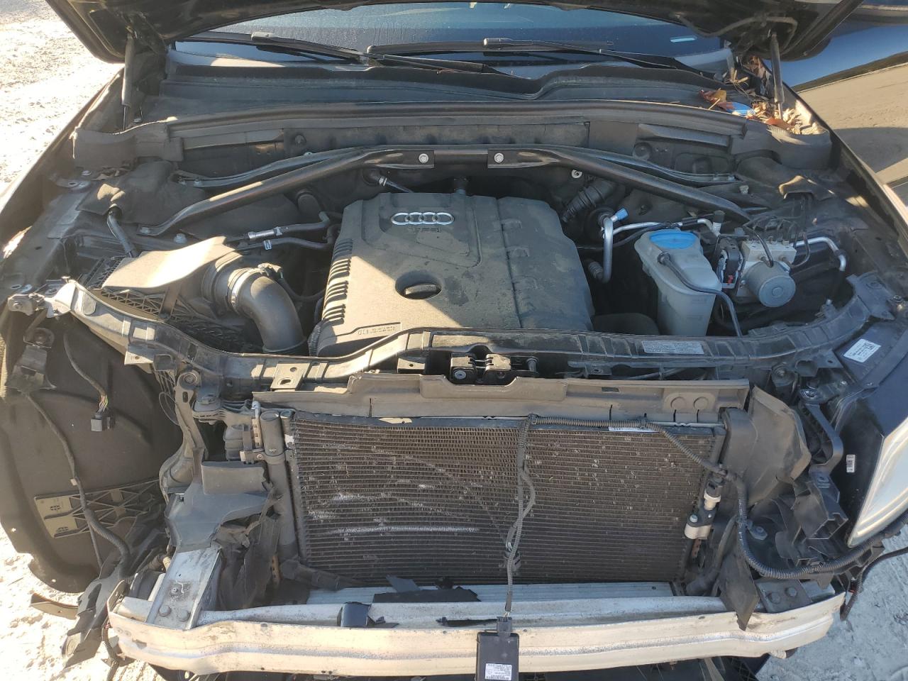 2013 Audi Q5 Premium Plus VIN: WA1LFAFPXDA008302 Lot: 92417095