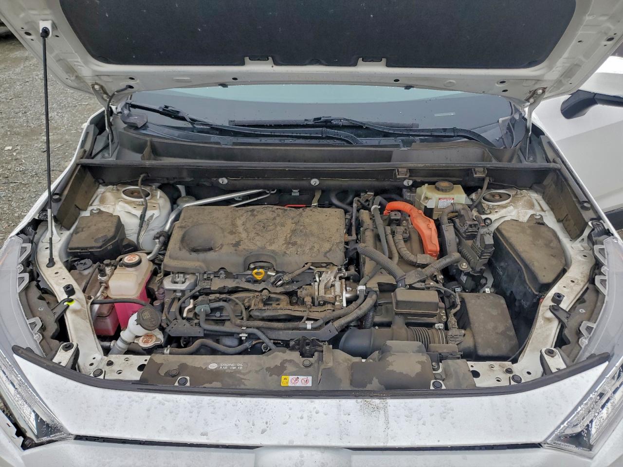 2020 Toyota Rav4 Xle VIN: JTMRWRFV1LD068348 Lot: 93675035