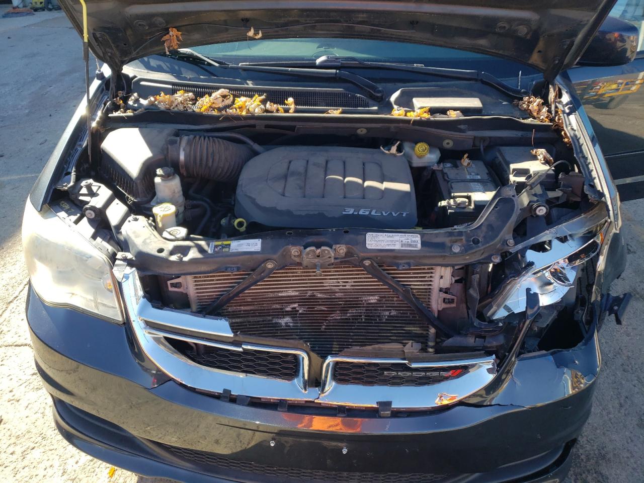 2014 Dodge Grand Caravan Sxt VIN: 2C4RDGCG8ER305529 Lot: 91713685