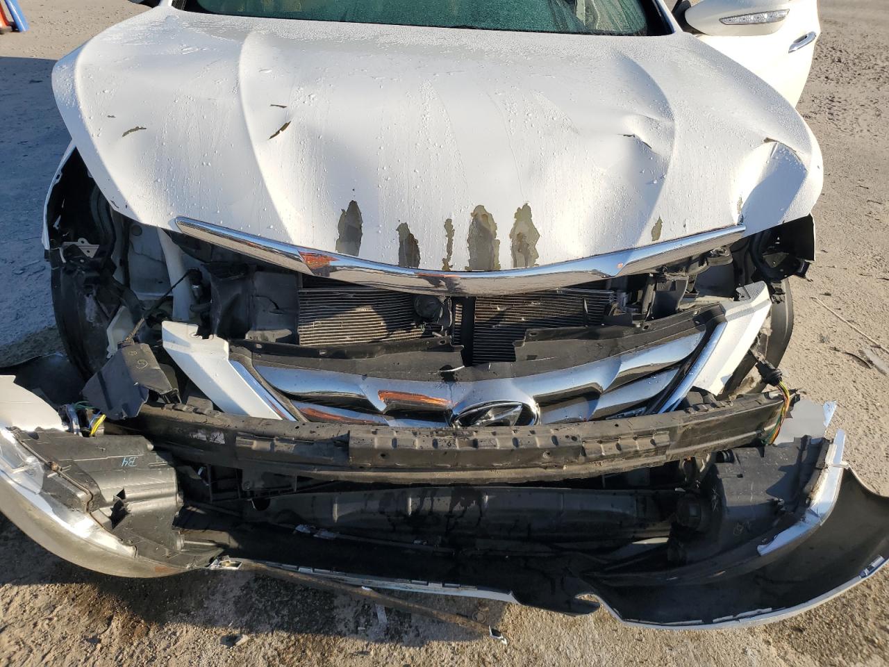 2013 Hyundai Sonata Se VIN: 5NPEC4AC4DH726630 Lot: 91635755