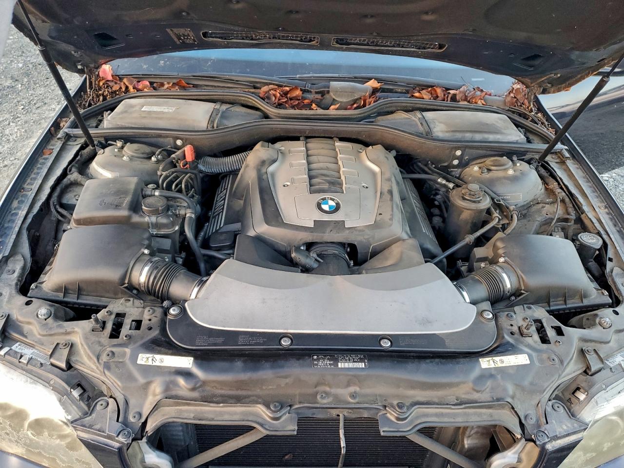 2007 BMW 750 VIN: WBAHN83537DT65203 Lot: 94587655