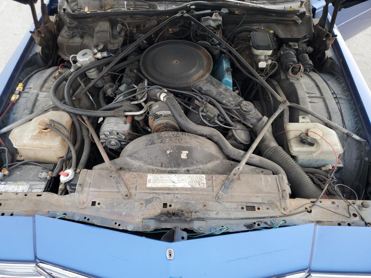 1981 Cadillac Deville VIN: 1G6AD4795B9145220 Lot: 93728615