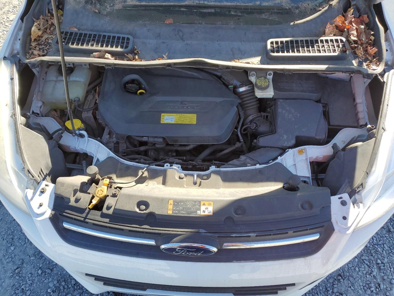 2014 Ford Escape Se VIN: 1FMCU0GXXEUB86209 Lot: 91885655