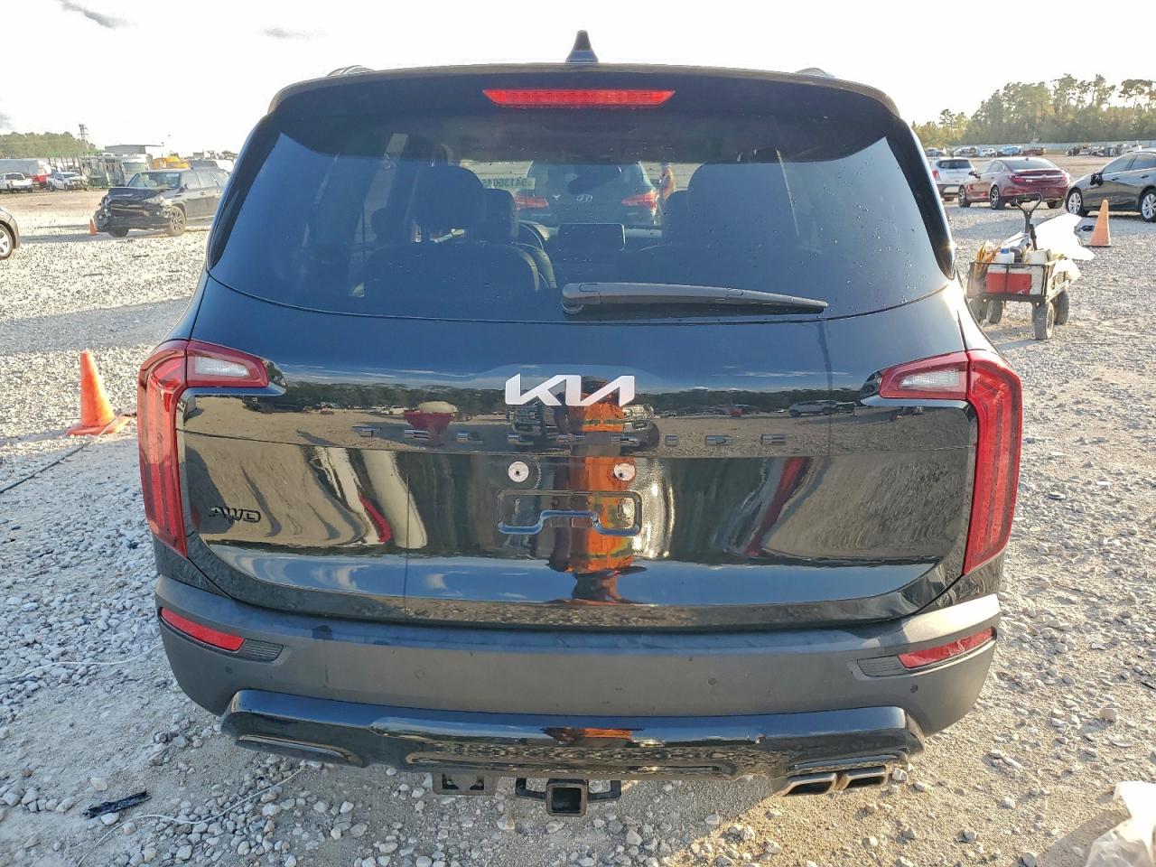 2022 Kia Telluride Sx VIN: 5XYP5DHC0NG241466 Lot: 94136045