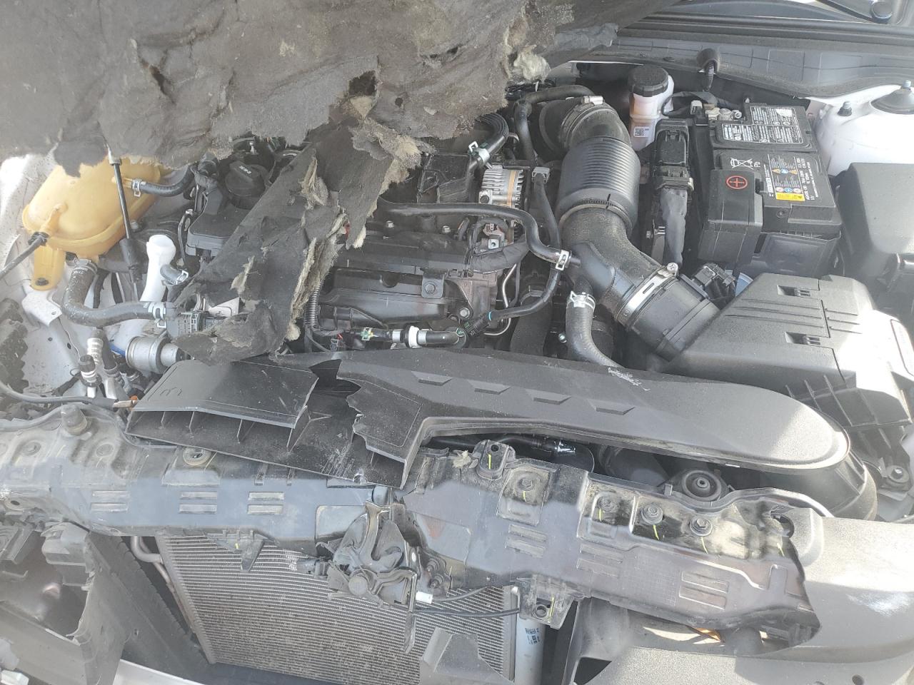 2023 Kia K5 Lxs VIN: 5XXG14J24PG222553 Lot: 93021395