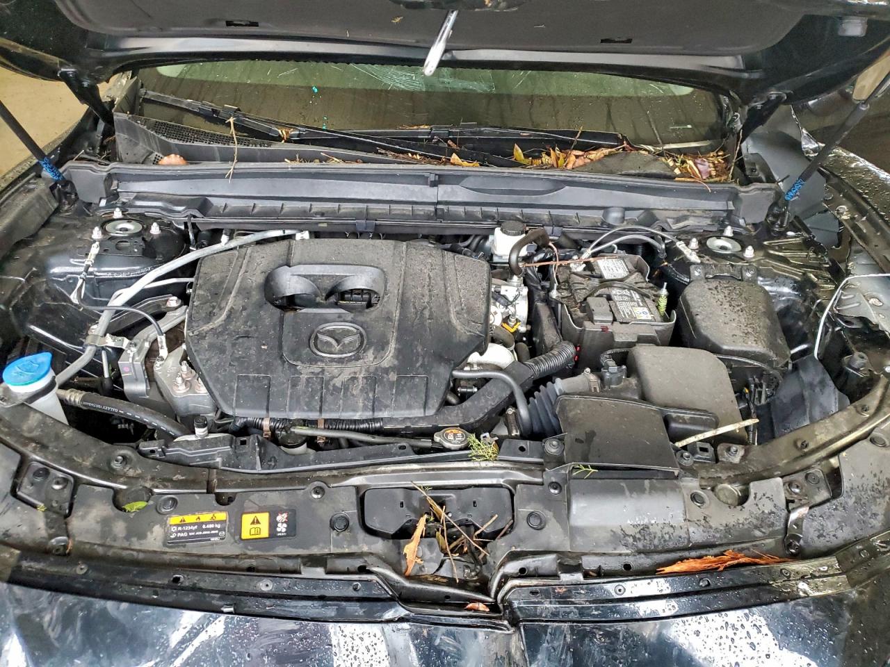 2025 Mazda Cx-50 Preferred VIN: 7MMVABBM3SN351019 Lot: 93853985