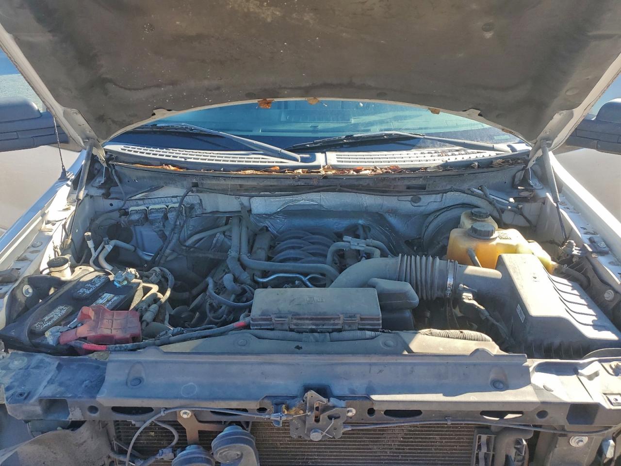 2013 Ford F150 VIN: 1FTMF1CF4DFD02884 Lot: 91468375