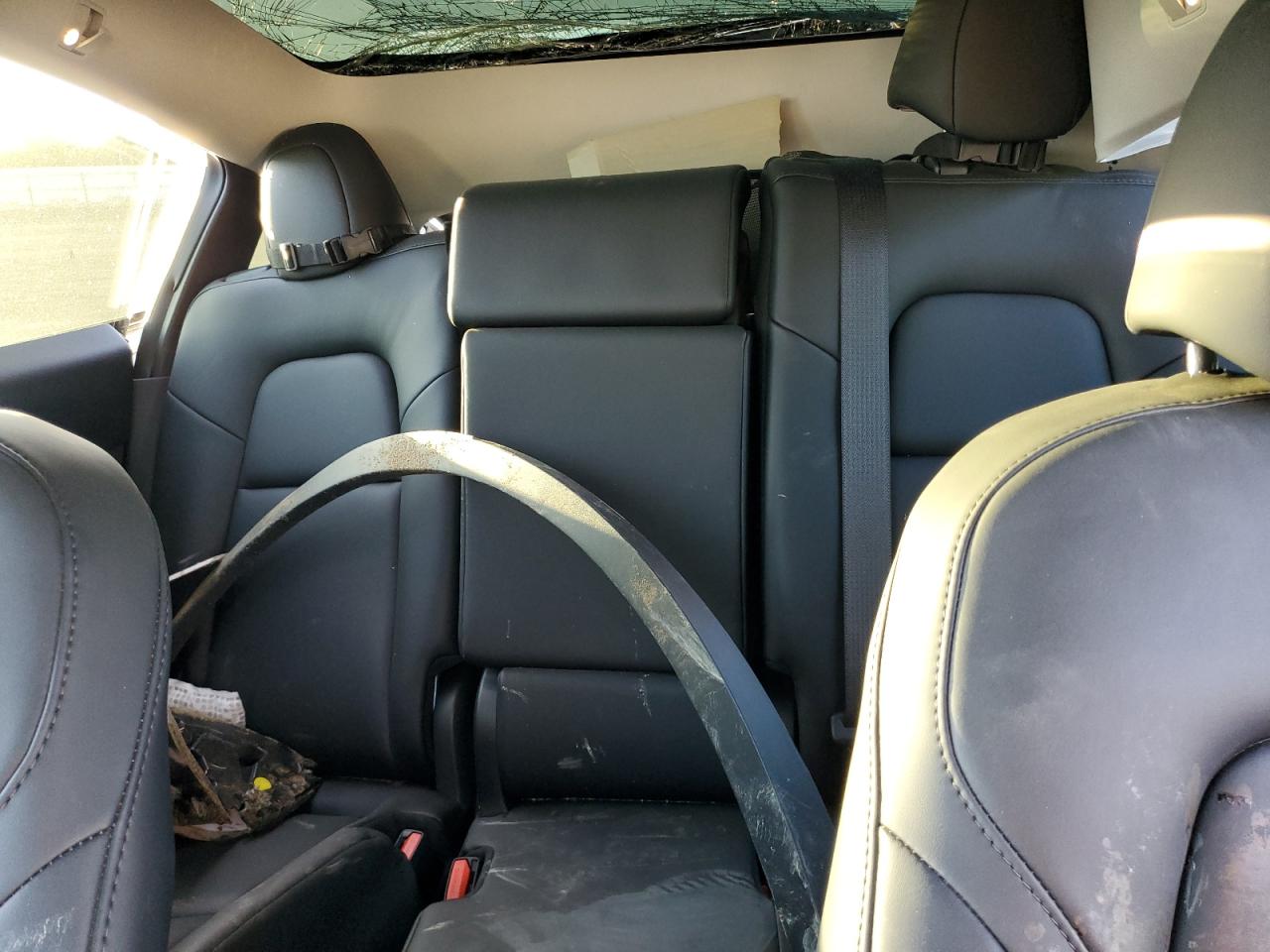 2024 Tesla Model Y VIN: 7SAYGAEE3RF168497 Lot: 91729235