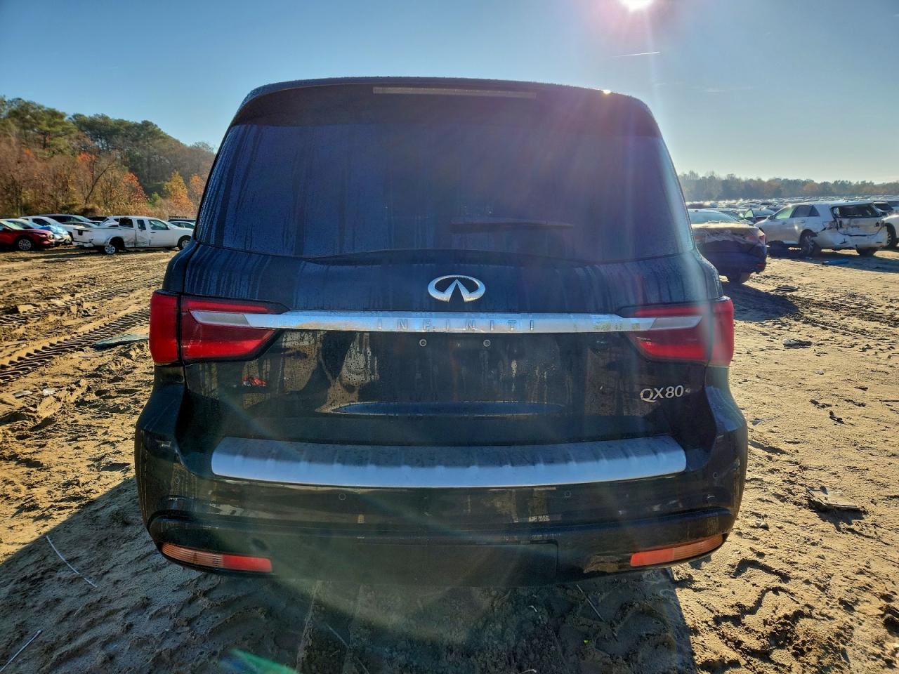 2019 Infiniti Qx80 Luxe VIN: JN8AZ2NE5K9235393 Lot: 93919575