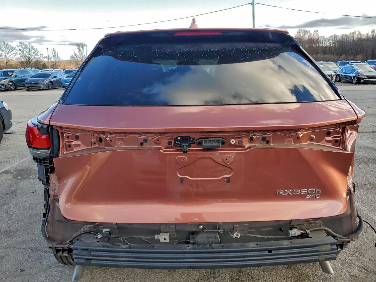 2024 Lexus Rx 350H Base VIN: 2T2BBMCA4RC023004 Lot: 94499435