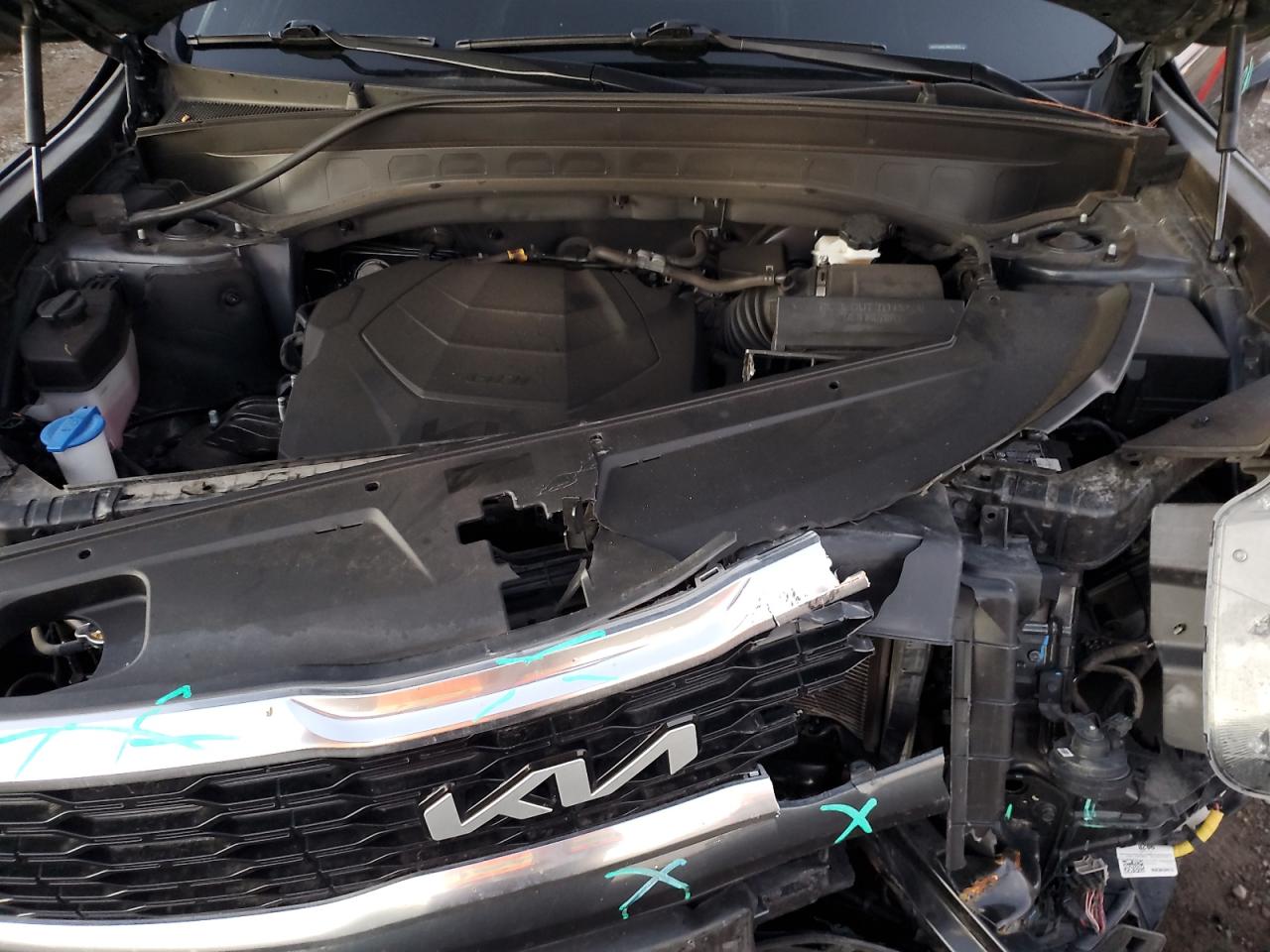 2022 Kia Telluride Ex VIN: 5XYP34HC1NG272411 Lot: 93336075