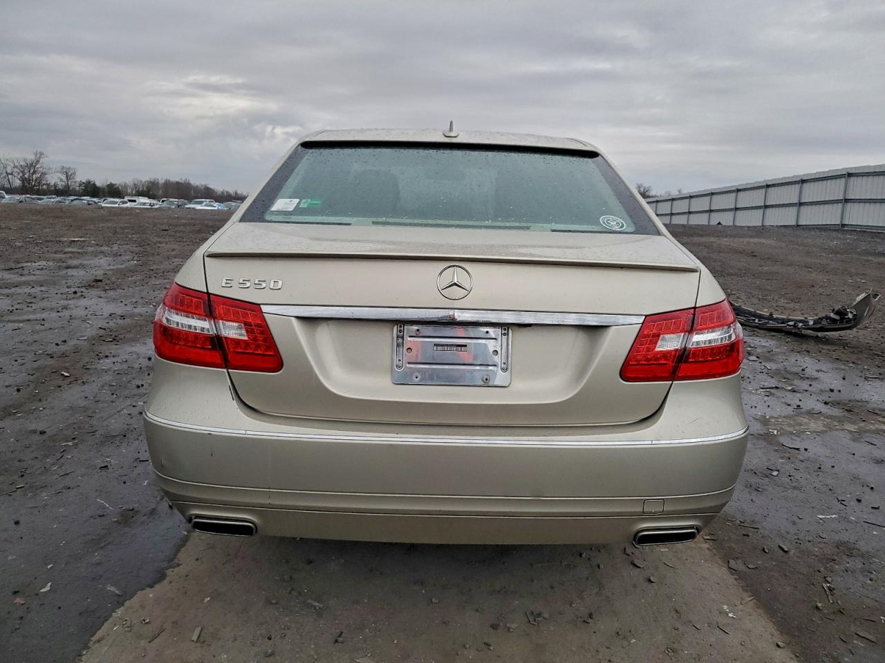 2010 Mercedes-Benz E 550 VIN: WDDHF7CB0AA085432 Lot: 94052555