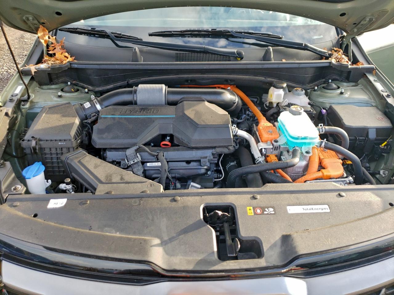 2024 Kia Sportage X Line VIN: KNDPYDDH0R7131013 Lot: 94137235