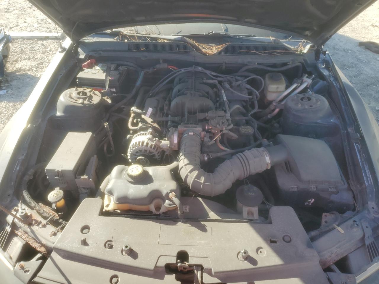 2007 Ford Mustang VIN: 1ZVFT80N575305418 Lot: 91087455