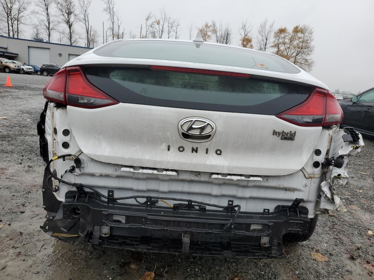 2020 Hyundai Ioniq Blue VIN: KMHC65LC9LU210393 Lot: 93154155