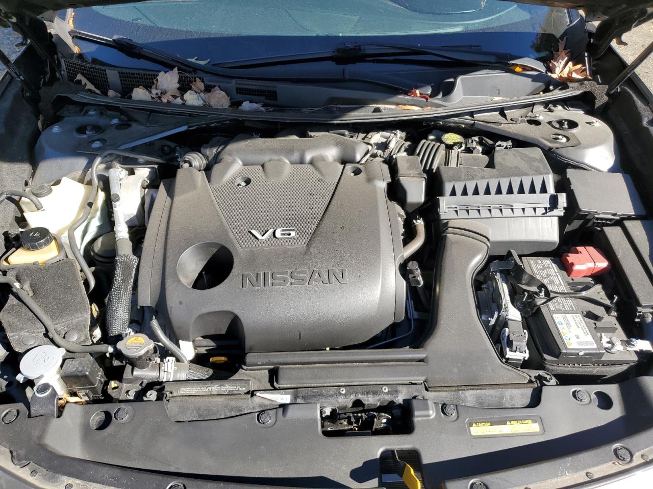 2021 Nissan Maxima Sr VIN: 1N4AA6EV0MC502428 Lot: 91096965