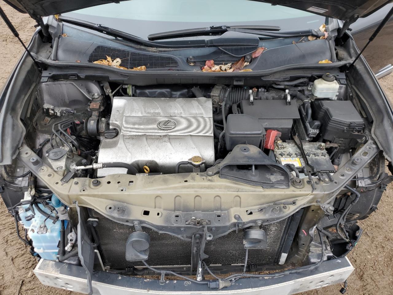 2010 Lexus Rx 350 VIN: 2T2BK1BA8AC024242 Lot: 93208295