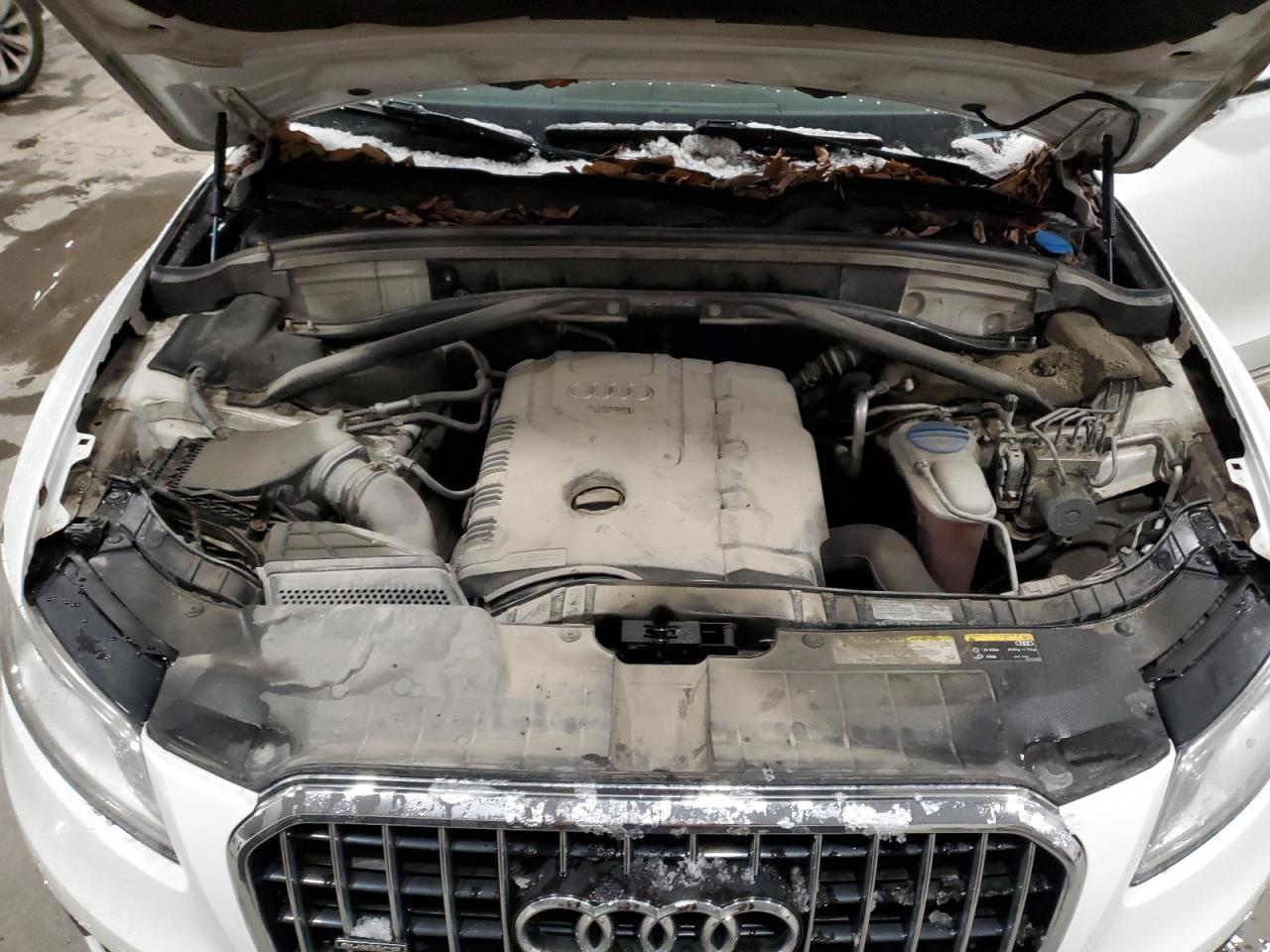 2013 Audi Q5 Premium Plus VIN: WA1LFAFP6DA086611 Lot: 92341195