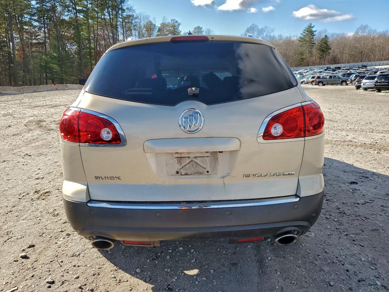 2009 Buick Enclave Cxl VIN: 5GAER23D39J213037 Lot: 94094015