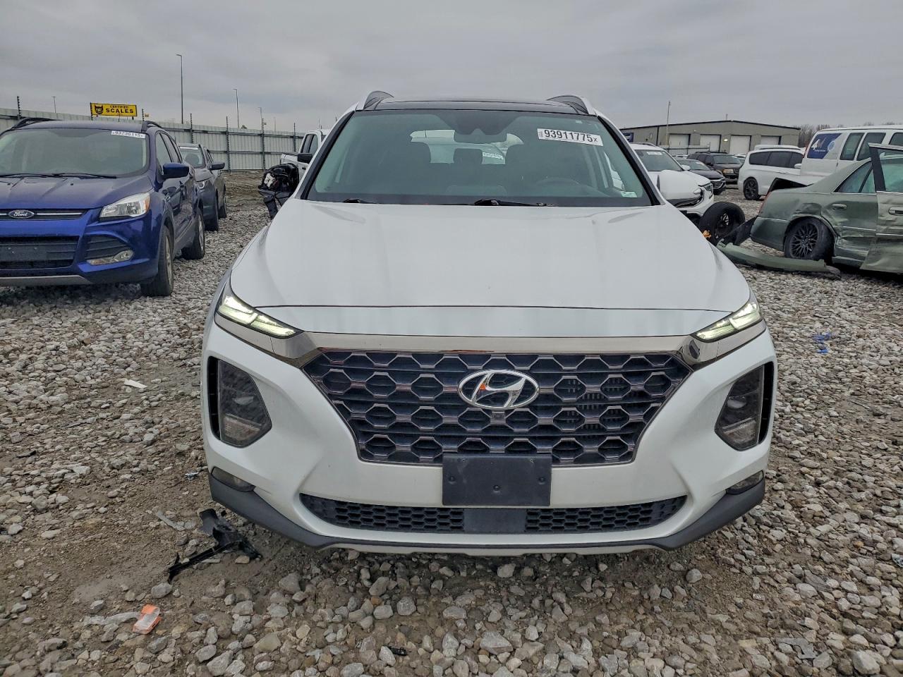 2020 Hyundai Santa Fe Limited VIN: 5NMS53AA9LH252014 Lot: 93911775
