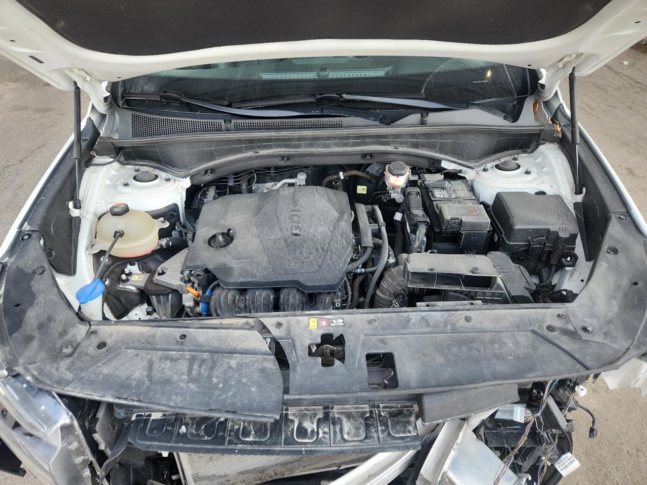 2021 Hyundai Santa Fe Sel VIN: 5NMS34AJ8MH339285 Lot: 93525175