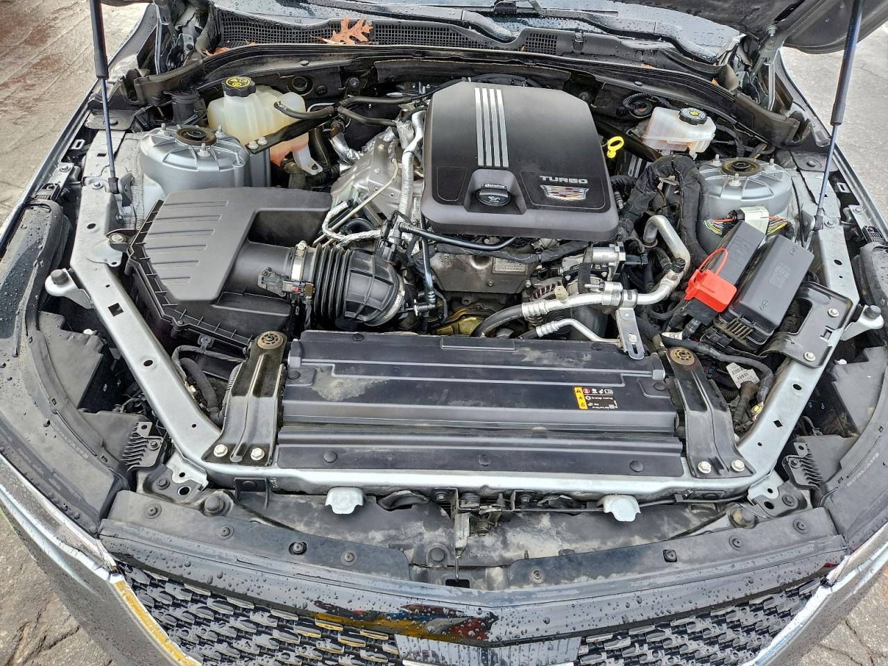 2023 Cadillac Ct4 Premium Luxury VIN: 1G6DB5RK7P0147913 Lot: 93641675