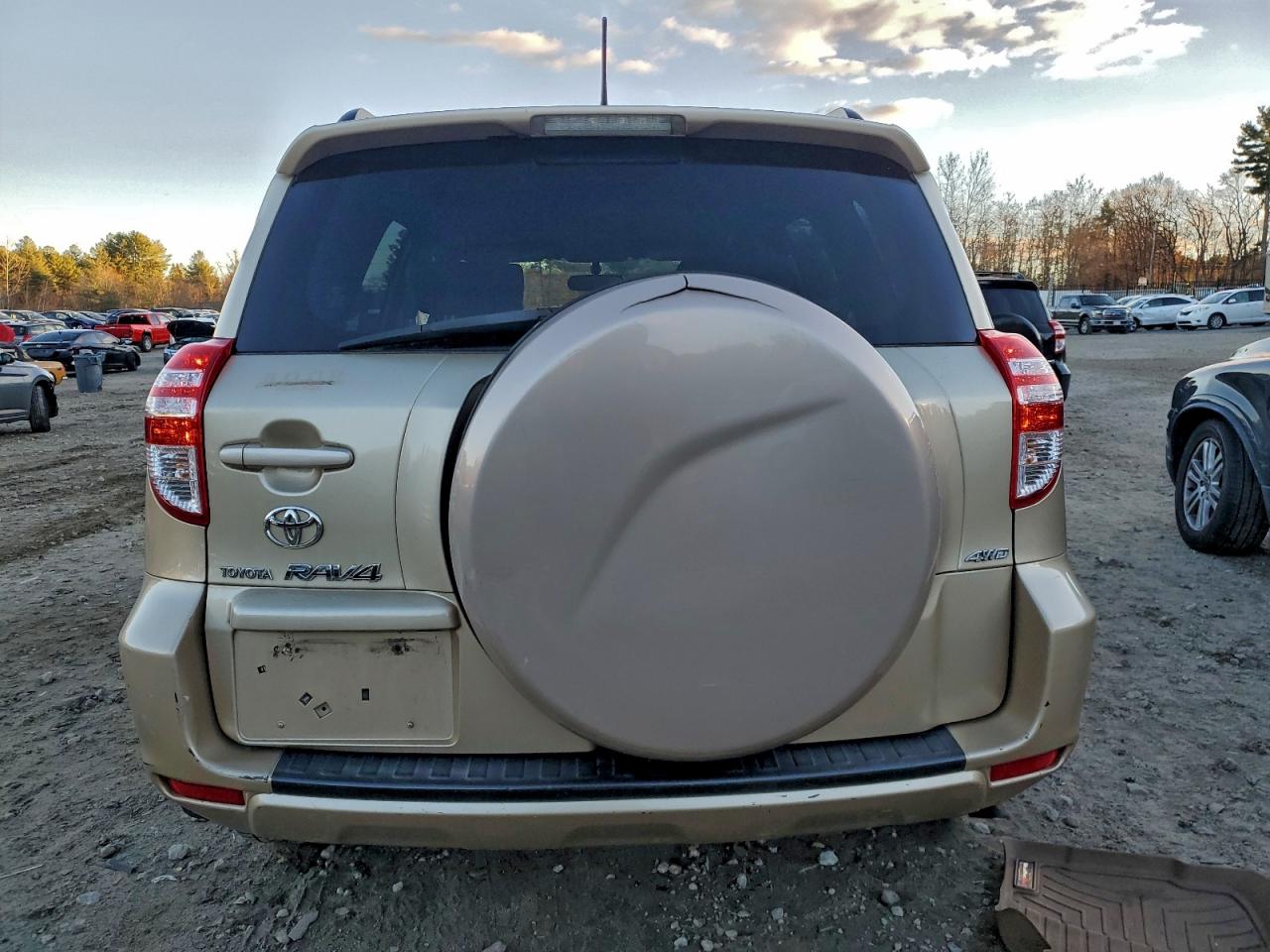 2010 Toyota Rav4 VIN: JTMBF4DV2AD036366 Lot: 92844965