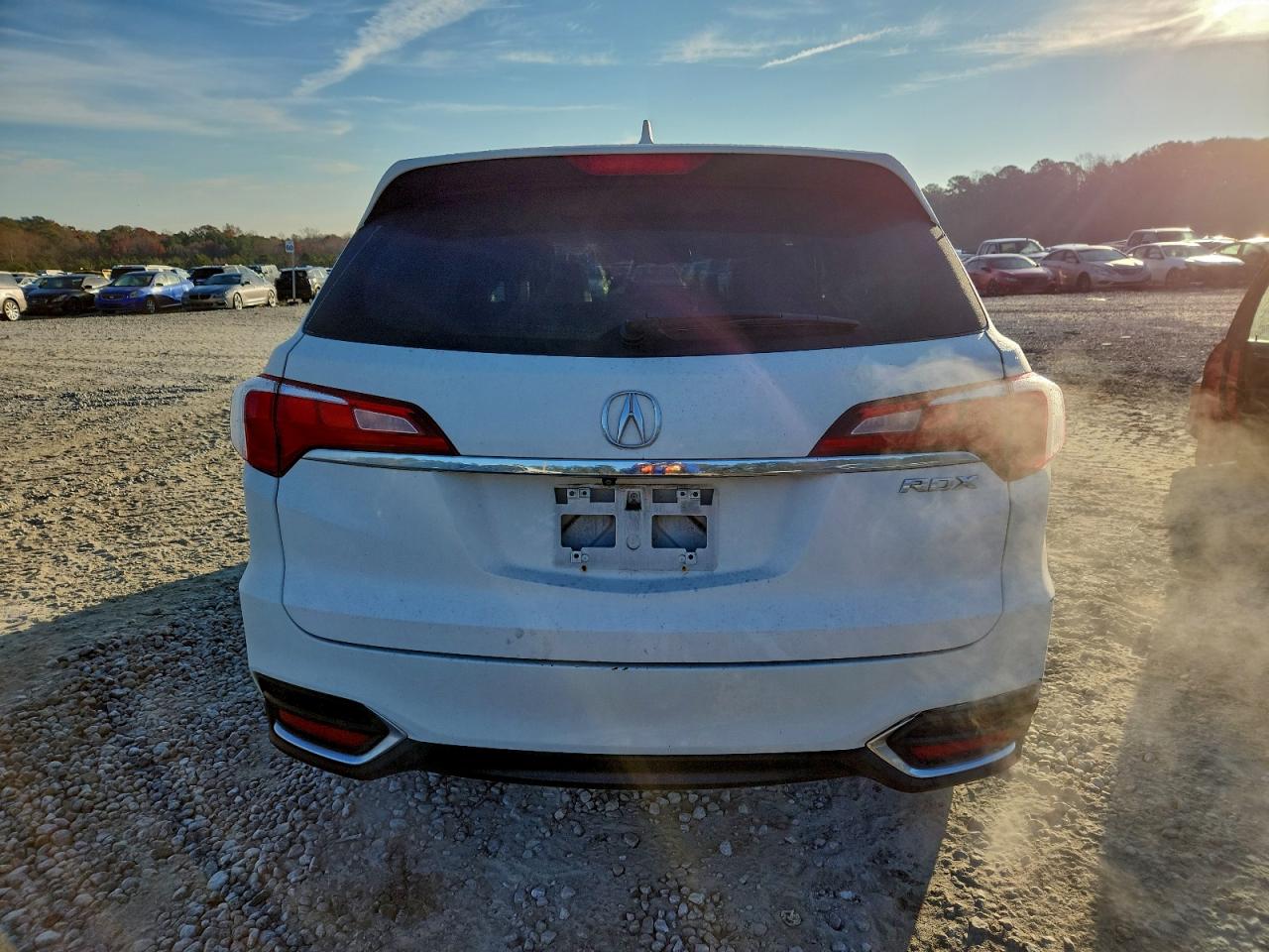 2017 Acura Rdx VIN: 5J8TB3H37HL009698 Lot: 93932205