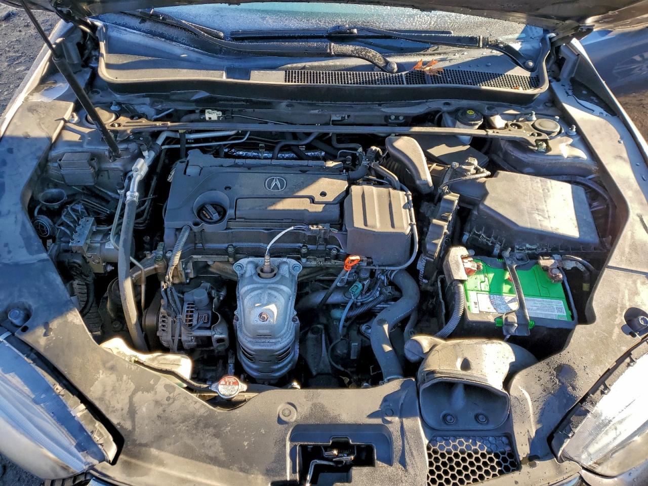 2019 Acura Tlx Technology VIN: 19UUB1F69KA006150 Lot: 93250835